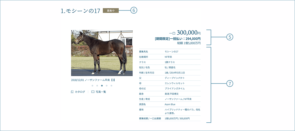 馬の基本情報の見方