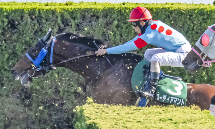 ローディアマント