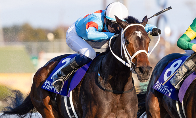 ダブルハートボンド