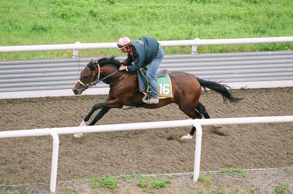 シルクギャラント｜シルク・ホースクラブ公式｜Silk Horse Club