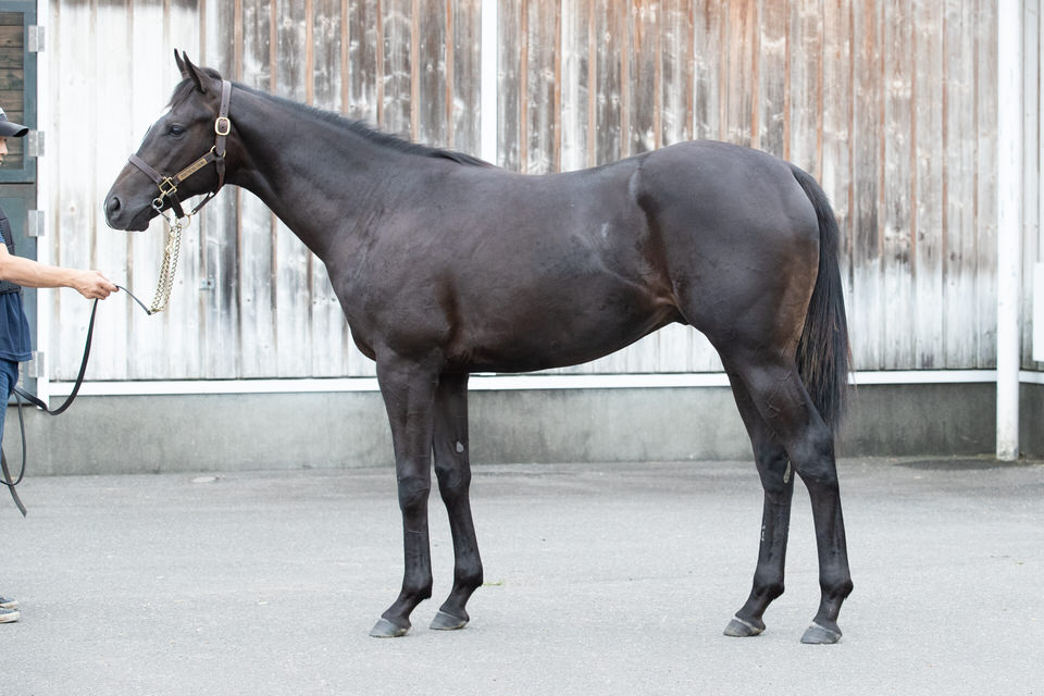 トゥ アーニー の 2018