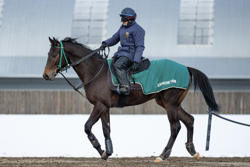 コリエンテス Corrientes Japaneseclass Jp