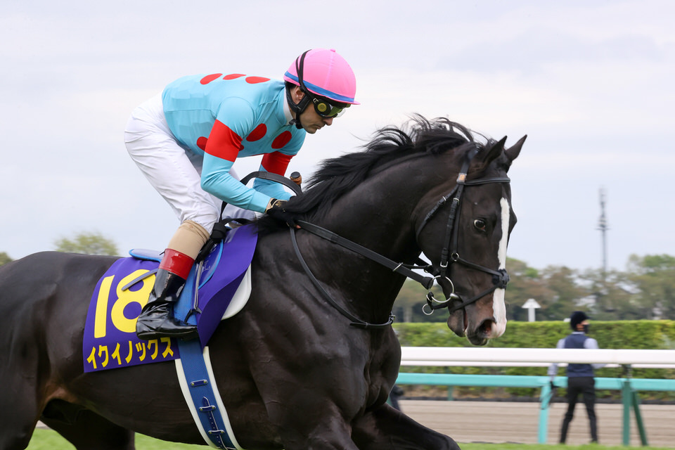 愛馬観戦記 R4-23 【イクイノックス 皐月賞】 - Winner's Circle