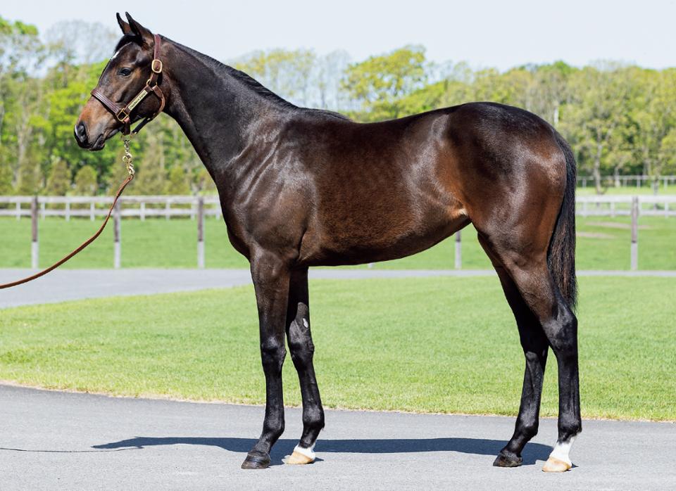 バサグラーと過剰摂取